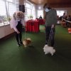 Int. Dog-Show-Winner & Grand National-Champion 2021